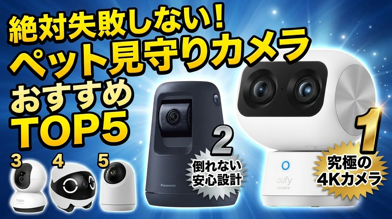 留守番中の猫も安心！最強おすすめペットカメラ・防犯カメラTOP5